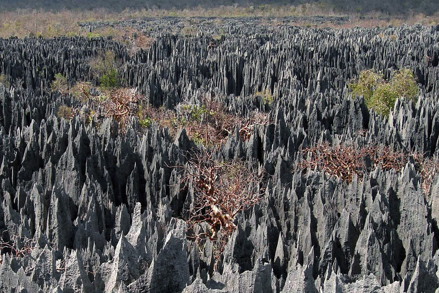 ツアー情報 マダガスカル マダガスカル旅行 ケニア旅行 ペルー旅行 ガラパゴス旅行など秘境や特殊地域の個人旅行を専門に取り扱うのがザ ワールドです The World